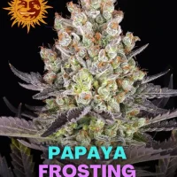 Papaya Frosting